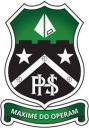 Pearson high school logo