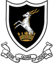 queens college queenstown logo