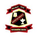 bellville south high school logo