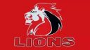 golden lions rugby logo