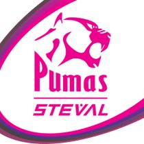 pumas rugby logo