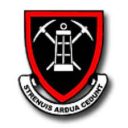 dundee high school south africa logo