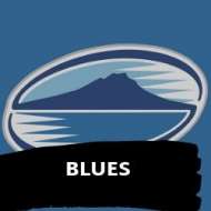 Blues Comp Logo