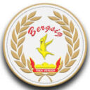 bergsig academy logo